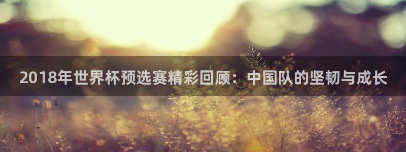 足球杯:2018年世界杯预选赛精彩回顾:中国队的坚韧与成长