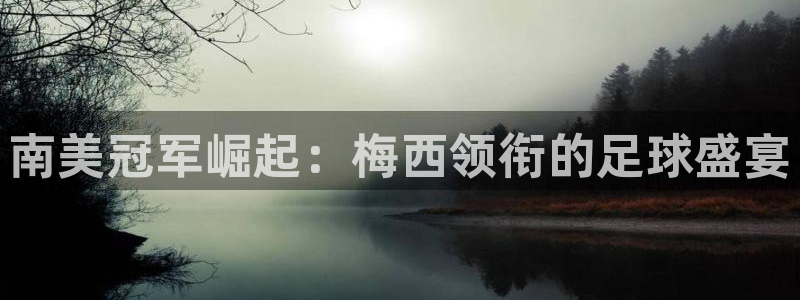 2026年世界杯直播平台:南美冠军崛起:梅西领衔的足球盛宴