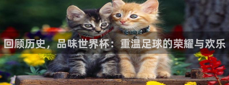 中国 世界杯:回顾历史,品味世界杯:重温足球的荣耀与欢乐