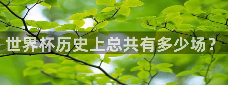世界杯亚洲区预选赛赛程:世界杯历史上总共有多少场?