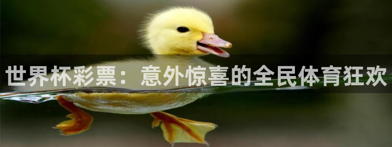 世界杯2026比赛时间表:世界杯彩票:意外惊喜的全民体育狂欢