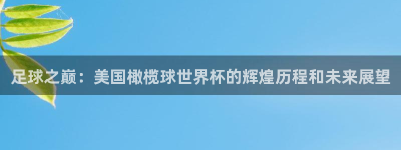世界杯预选赛赛程表:足球之巅:美国橄榄球世界杯的辉煌历程和未来展望
