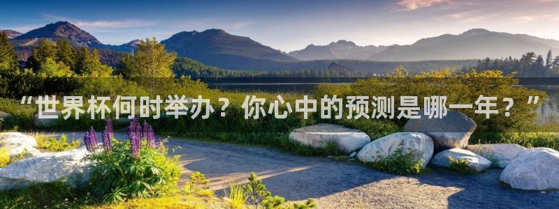 2026世界杯预选赛:“世界杯何时举办?你心中的预测是哪一年?”